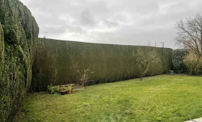 Taille de haie, Saint-Quentin, Avenir Vert