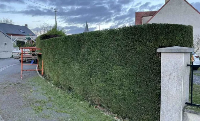 Taille de haie, Saint-Quentin, Avenir Vert