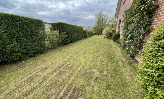 Scarification d’une pelouse dans le jardin d'un particulier à Saint-Quentin, Saint-Quentin, Avenir Vert